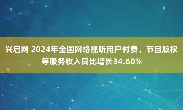 兴启网 2024年全国网络视听用户付费、节目版权等服务收入同比增长34.60%