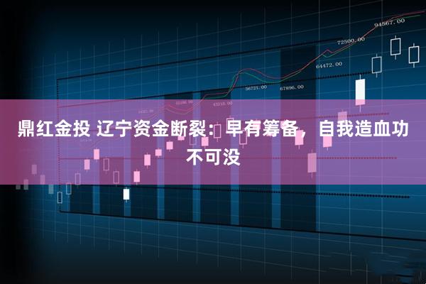 鼎红金投 辽宁资金断裂：早有筹备，自我造血功不可没