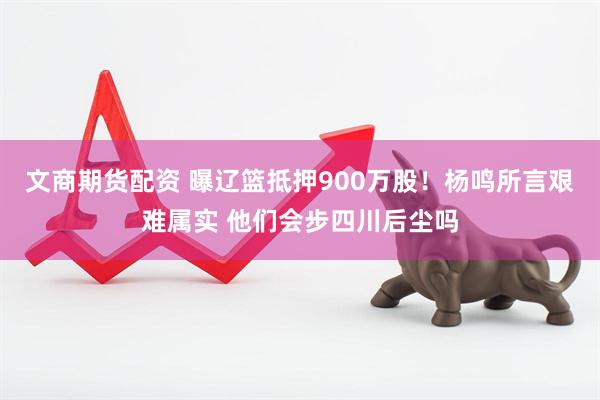 文商期货配资 曝辽篮抵押900万股！杨鸣所言艰难属实 他们会步四川后尘吗