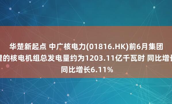 华楚新起点 中广核电力(01816.HK)前6月集团运营管理的核电机组总发电量约为1203.11亿千瓦时 同比增长6.11%