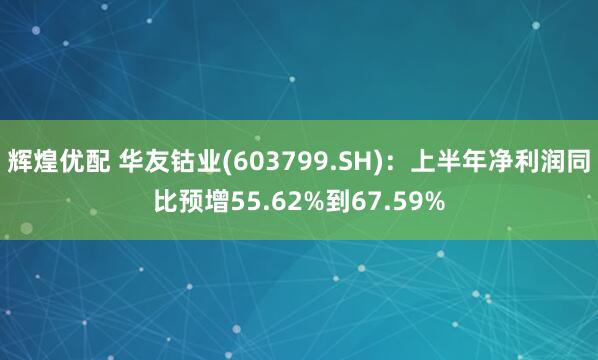 辉煌优配 华友钴业(603799.SH)：上半年净利润同比预增55.62%到67.59%