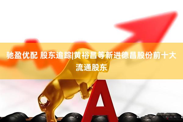 驰盈优配 股东追踪|黄裕昌等新进德昌股份前十大流通股东
