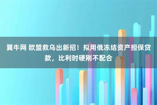 翼牛网 欧盟救乌出新招！拟用俄冻结资产担保贷款，比利时硬刚不配合