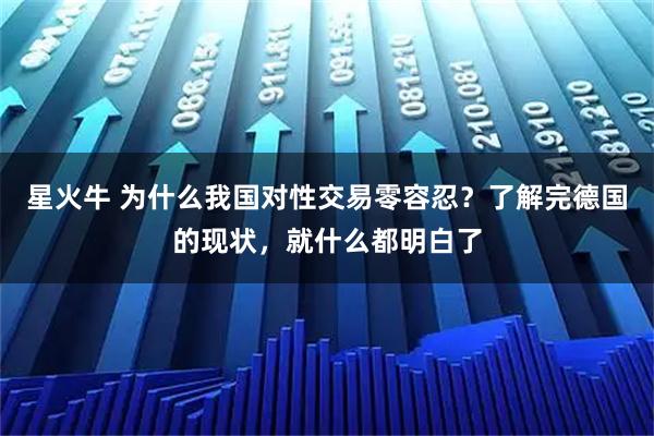 星火牛 为什么我国对性交易零容忍？了解完德国的现状，就什么都明白了