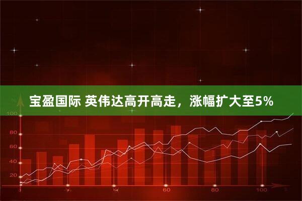 宝盈国际 英伟达高开高走，涨幅扩大至5%