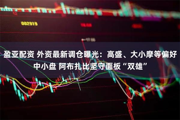 盈亚配资 外资最新调仓曝光：高盛、大小摩等偏好中小盘 阿布扎比坚守面板“双雄”